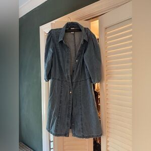 Denim Button-Up Dress